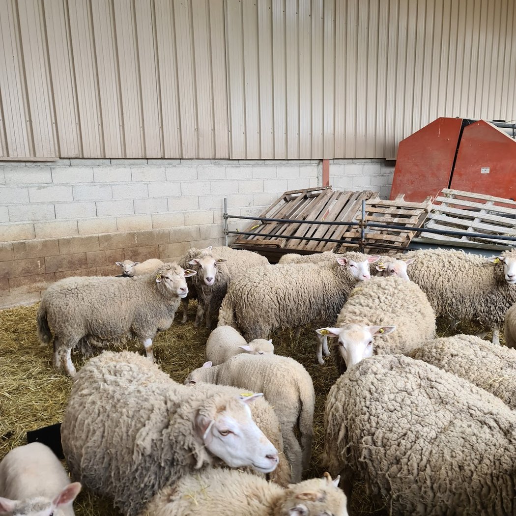 Ferme Pédagogique de La Mercy 3